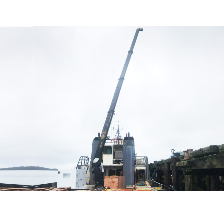 12 Ton Telescopic Boom Marine Crane For Sale